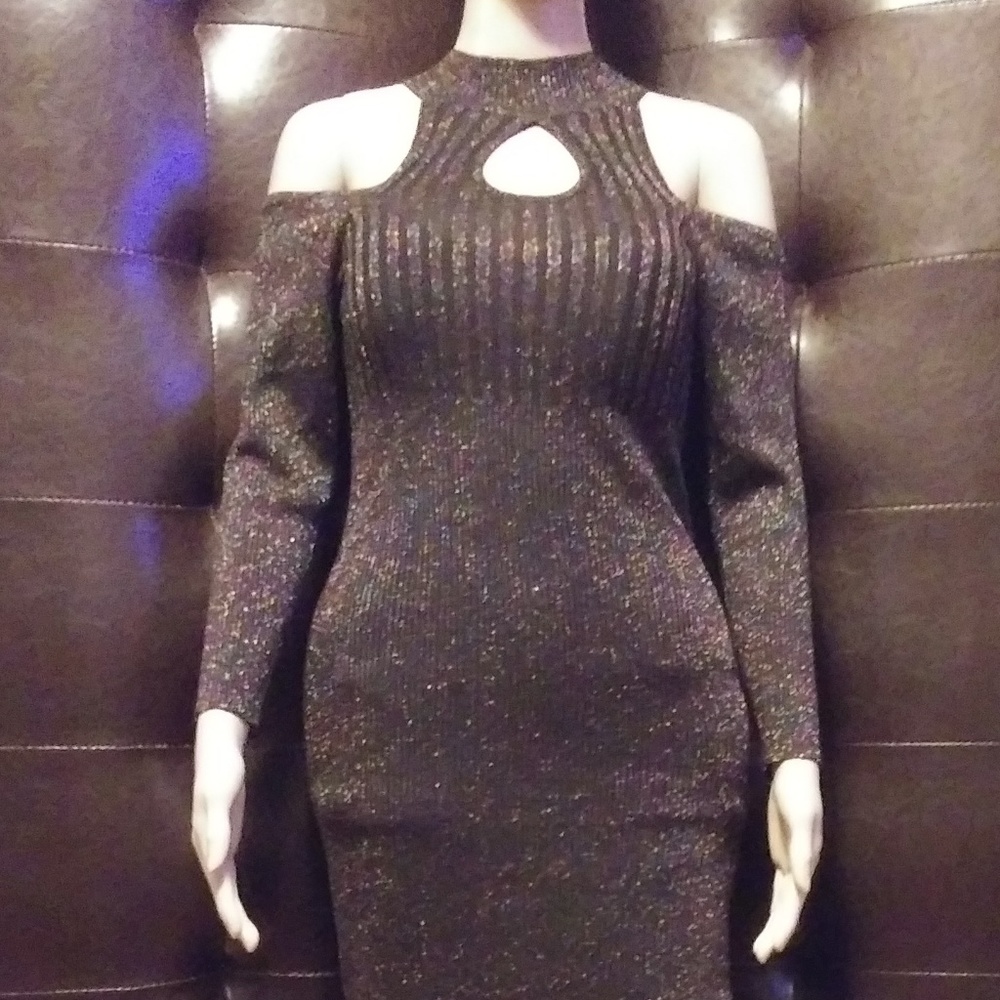 Sparkly, Form-Fitting, Glitter Dress (Dress Only)